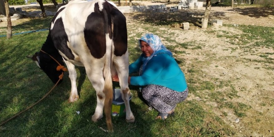 Köyde ev kadınıydı, sette sinema yapımcısı oldu