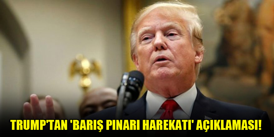 Trump'tan ikinci 'Barış Pınarı Harekatı' açıklaması
