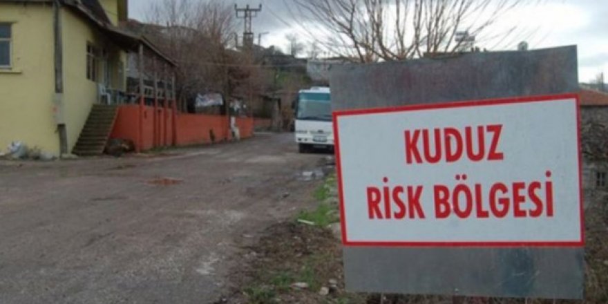 Denizli'de kuduz karantinası
