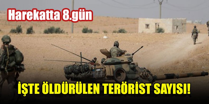 Harekatta 8.gün İşte öldürülen terörist sayısı!