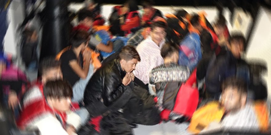 Edirne'de 384 kaçak göçmen yakalandı