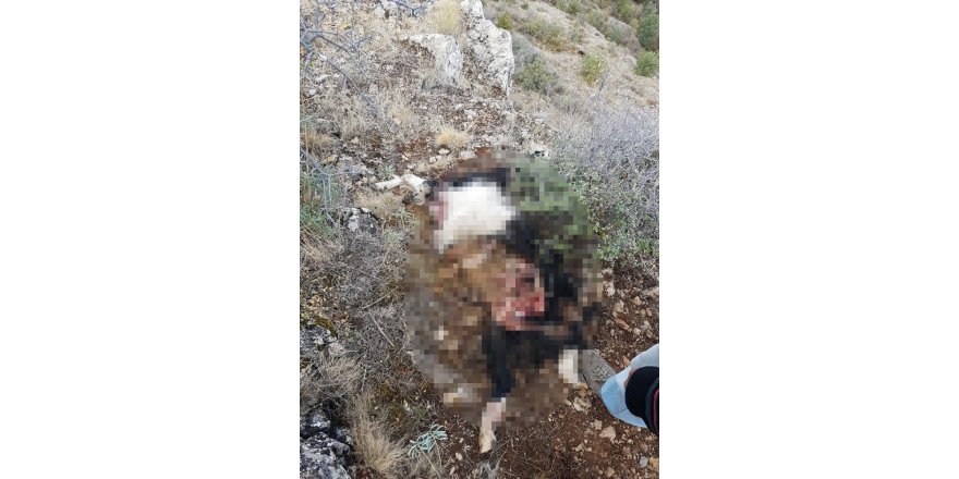 Konya'da şüpheli ölüm