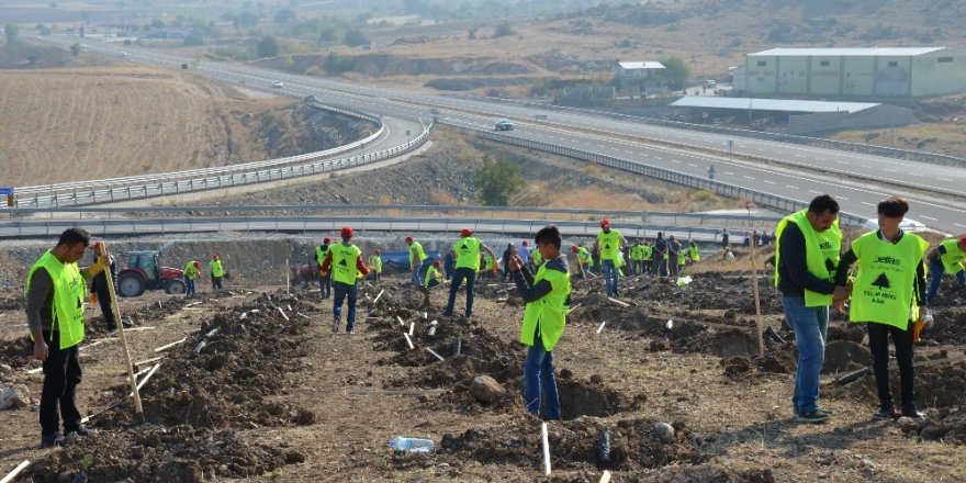 Petlas çalışanları, ‘Küçük bir fidan kocaman bir nefes’ temalı ağaç dikme kampanyası düzenledi