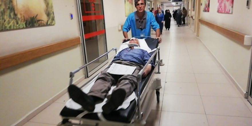 Meyve bahçesinde daldı: 3 yaralı