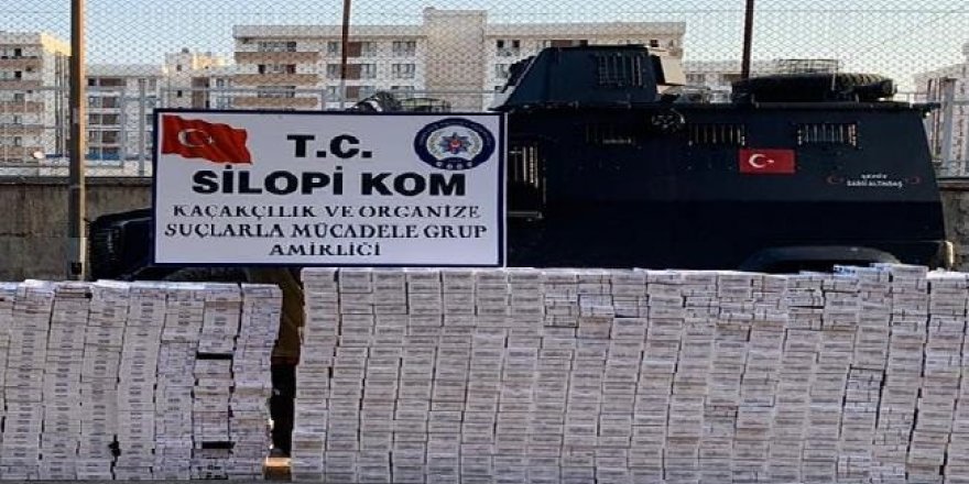 Şırnak’ta kaçakçılık ve terörle mücadele operasyonunda 41 gözaltı