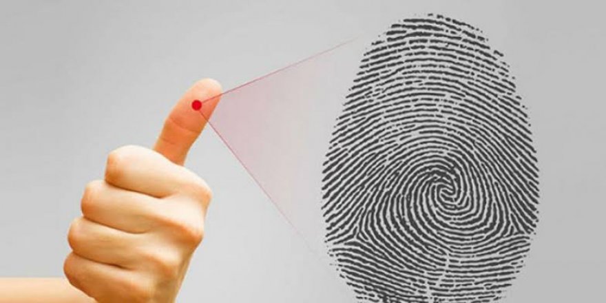 Parmak izinden cinsiyet belirlenecek