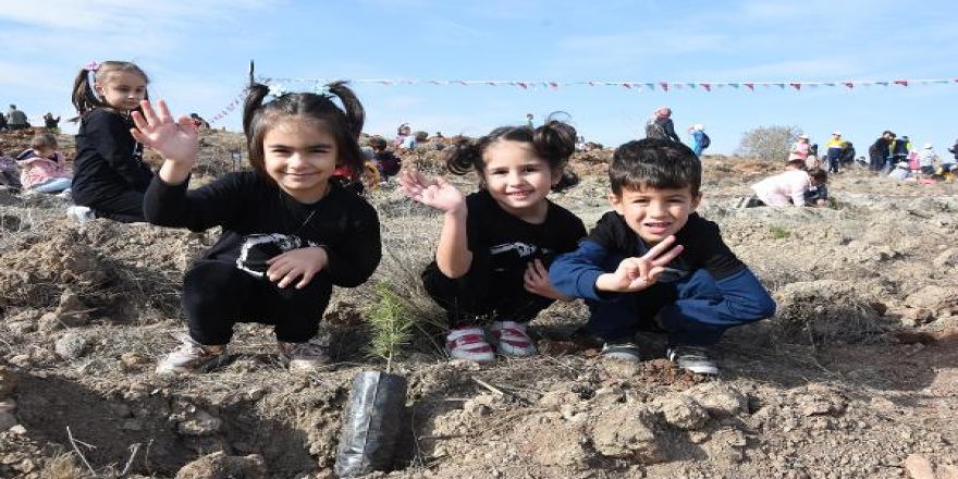 Kütahya’da 250 bin fidan dikildi, 3 hektar ormanlık alan yandı
