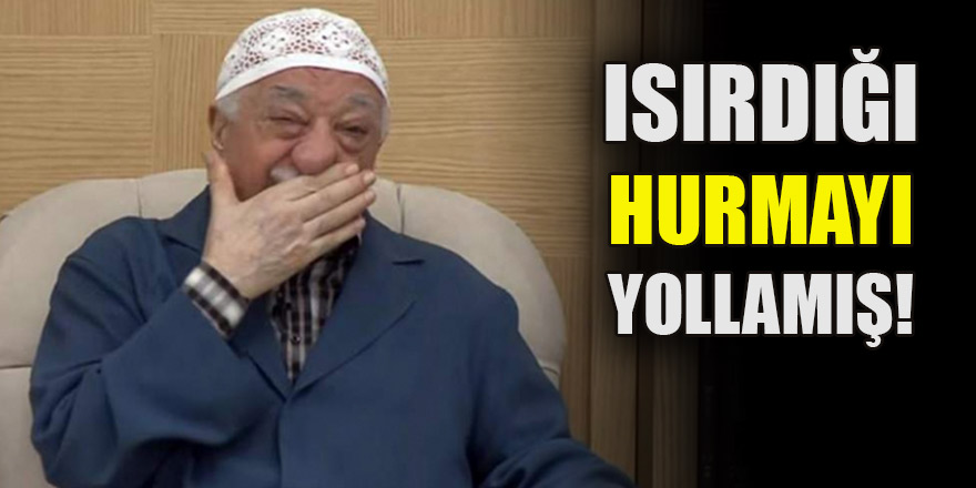 Isırdığı hurmayı yollamış! Pensilvanya'da yaşananlar ortaya çıktı
