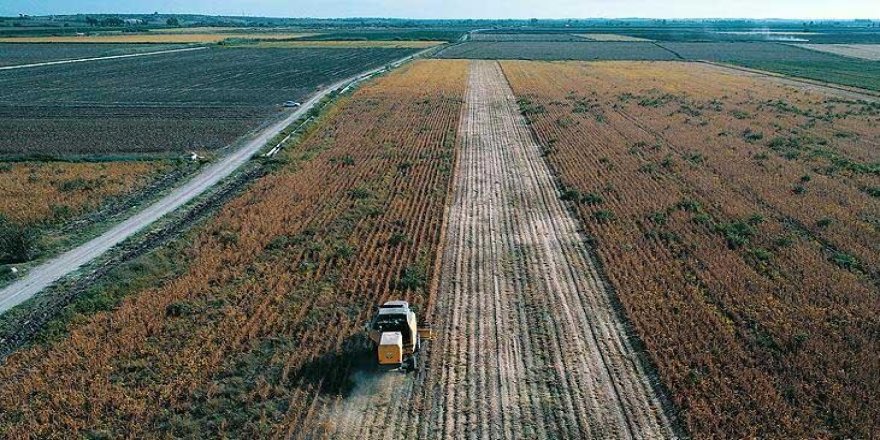 Tarımsal desteğe 2020'de 22 milyar lira ayrıldı
