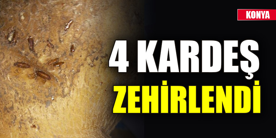 Konya'da 4 kardeş, kurtlu patatesten zehirlendi