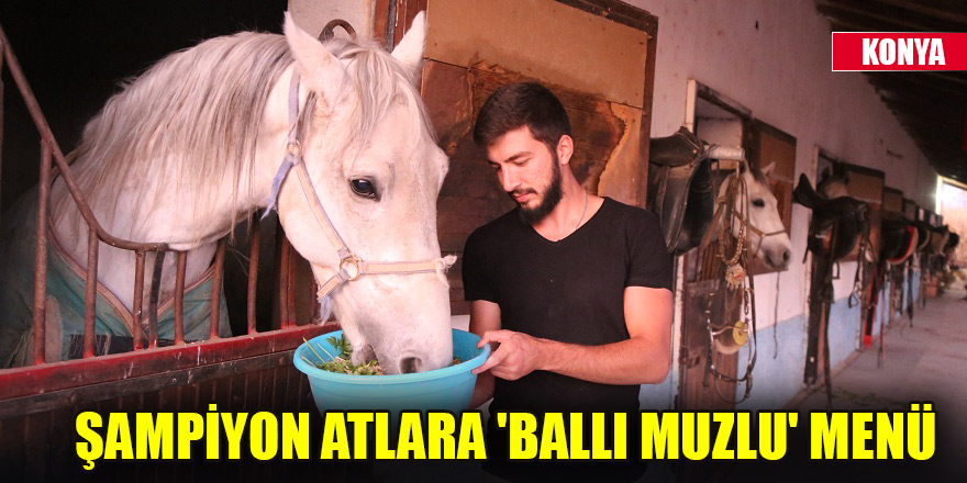 Şampiyon atlara 'ballı muzlu' menü