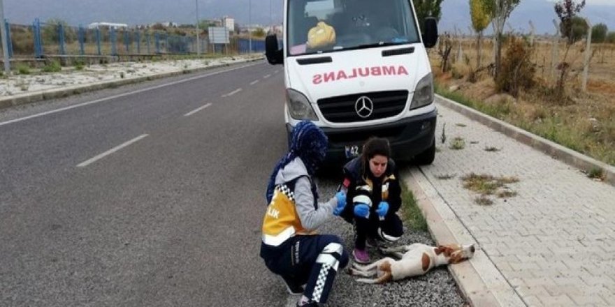 Konya’da 112 çalışanları ’Paşa’ için gözyaşı döktü