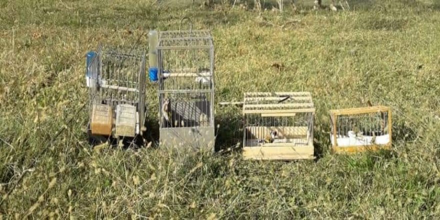Saka kuşu avcılarına 12 bin lira ceza