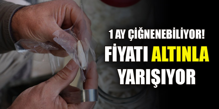 Bu sakız bir ay çiğnenebiliyor! Fiyatı altınla yarışıyor