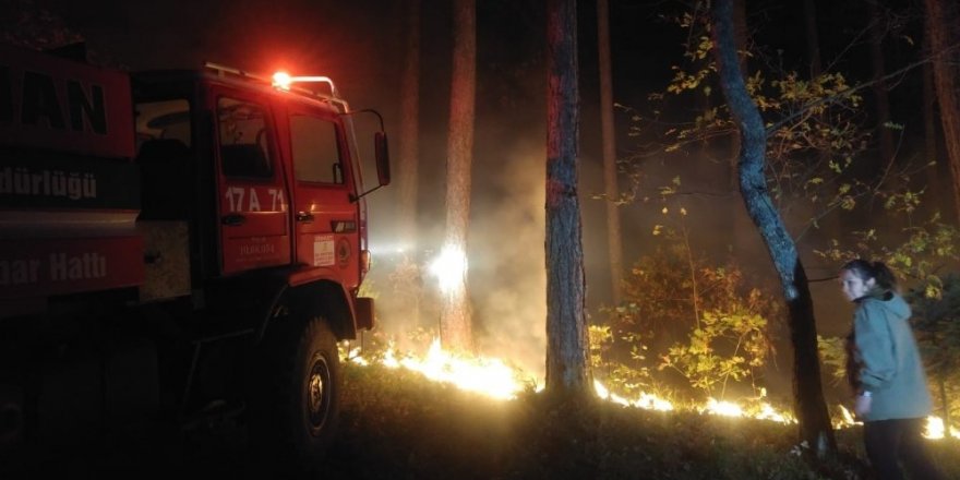 Çanakkale’de korkutan yangın