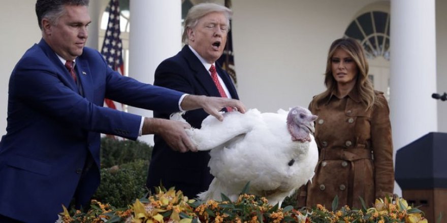 ABD Başkanı Trump, Şükran Günü için iki hindiyi affetti
