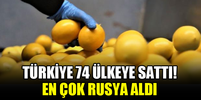Türkiye 74 ülkeye sattı! En çok Rusya aldı