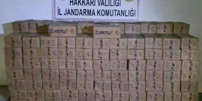 Dere yatağında 50 bin av tüfeği fişeği bulundu