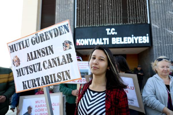 Hayvanseverin protesto ettiği müdür görevden alındı