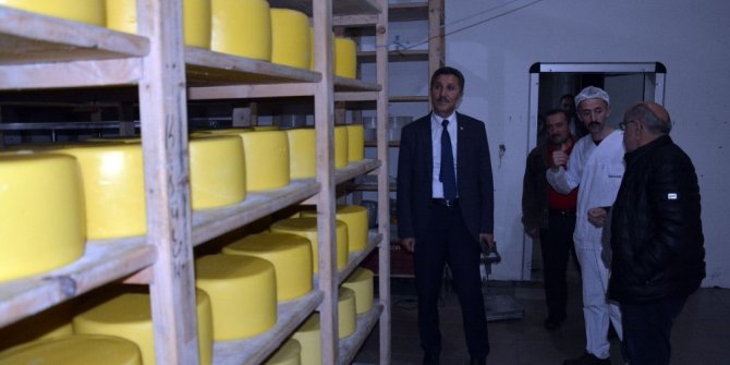 Başkan Kaya, süt ürünleri fabrikasını inceledi