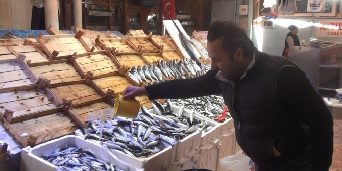 Sıcak havalar balık tezgahlarını vurdu