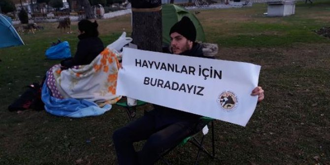 İBB önünde fayton protestosu; çadırlarda sabahladılar