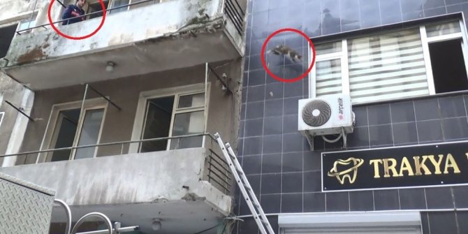 İnatçı kedi itfaiyecileri pes ettirdi