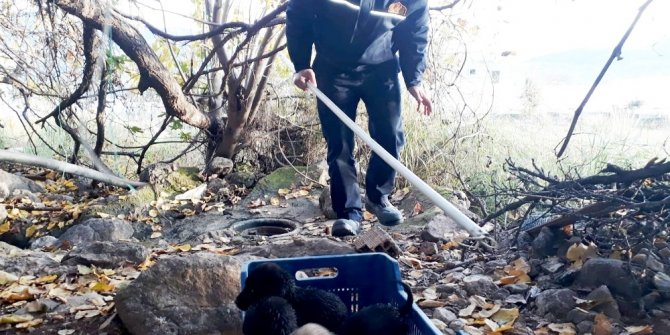 Ölümü bekleyen yavruları itfaiye kurtardı