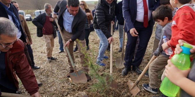 Çorlu Öğretmenler Ormanı büyüyor