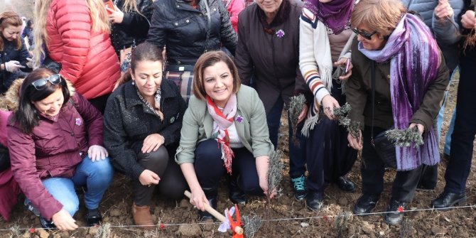 İzmitli kadınlar üretime lavanta bahçeleriyle ortak oluyor