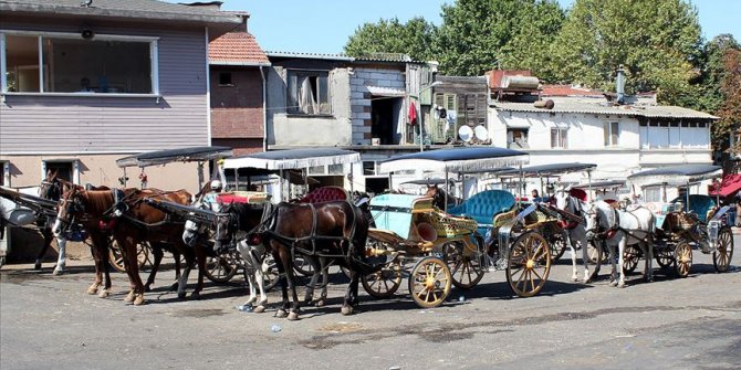 İstanbul Valisi Ali Yerlikaya: "Faytonlara at koşulması 3 ay süreyle durduruldu"