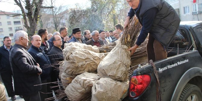 Devrek’te çiftçilere yönelik kestane fidanı dağıtımı gerçekleştirildi