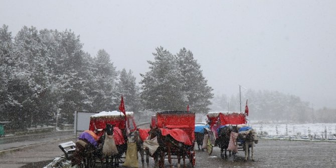 Bolu’da, Ruam hastalığı şüphesiyle 8 at karantinaya alındı
