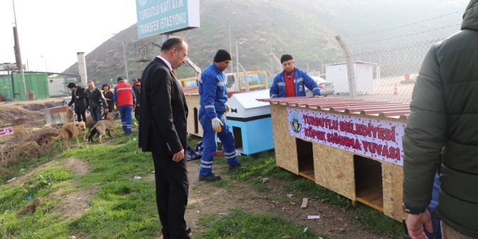 Turgutlu Belediyesinden sahipsiz canlılar için sığınma yuvası