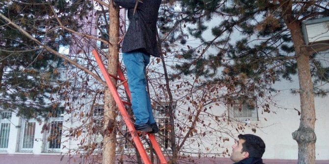 Sokak hayvanları için seferber oldular