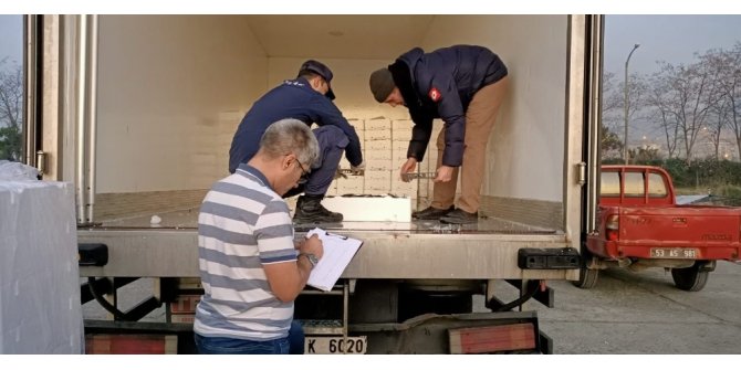 Rize’de 10 ton istavrite el konuldu