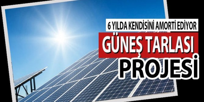 Bafra’ya Güneş Tarlası