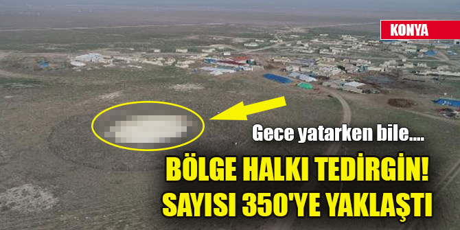 Bölge halkı tedirgin! Sayısı 350'ye yaklaştı