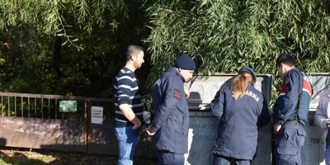 Marmaris'te zehirlenen üç köpekten ikisi öldü
