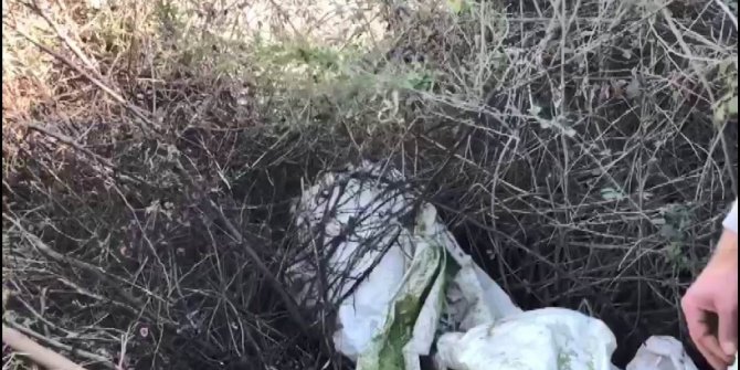 Diyarbakır’da Kıran-11 Operasyonu başlatıldı
