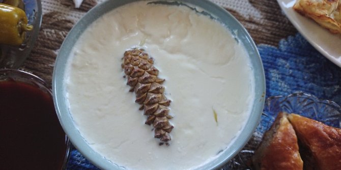 Şifa kaynağı Çukurca yoğurdu marka olma yolunda