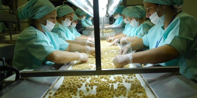 Avrupa’ya fındık Düzce’den gidiyor