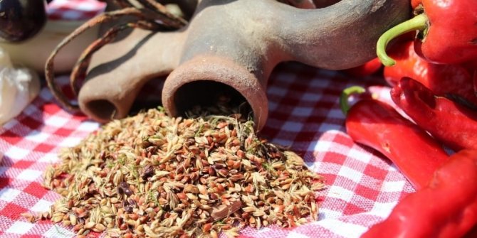 Aydın’da tıbbi ve aromatik bitki arşivi oluşturuluyor