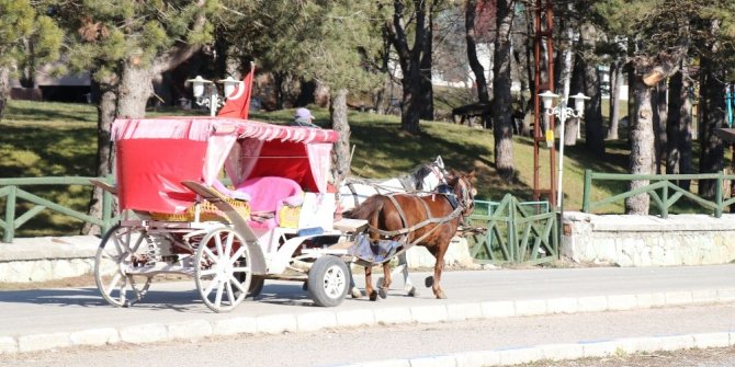 Abant Tabiat Parkı’na gelen tatilcilerde ruam hastalığı endişesi