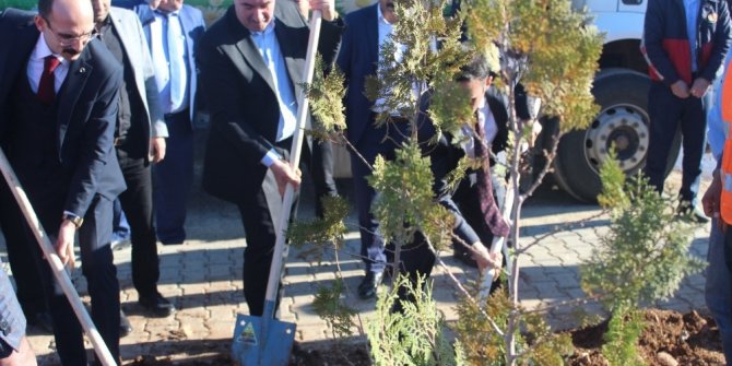 Başkan Turanlı: “Hep birlikte daha yeşil bir Kahta için”