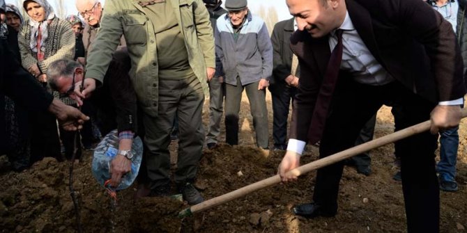 Sertifikalı ceviz fidanları toprakla buluştu