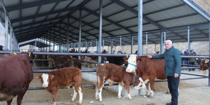 Oltu’da besicilerin kapalı canlı hayvan pazarı memnuniyeti