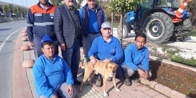 6 aydır ’Gel Oğlum’ ile mesai yapıyor, onsuz adım atamıyorlar