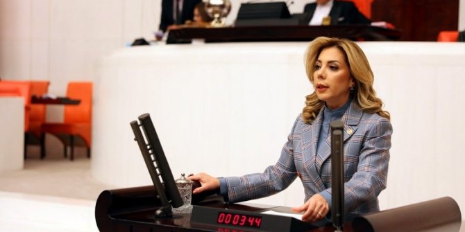 AK Partili Gökçan, “Milas’a doğalgaz verilmesi için çalışmalarımız devam ediyor”