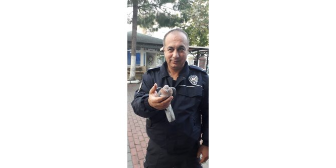 Yaralı Kumruya polis şevkati
